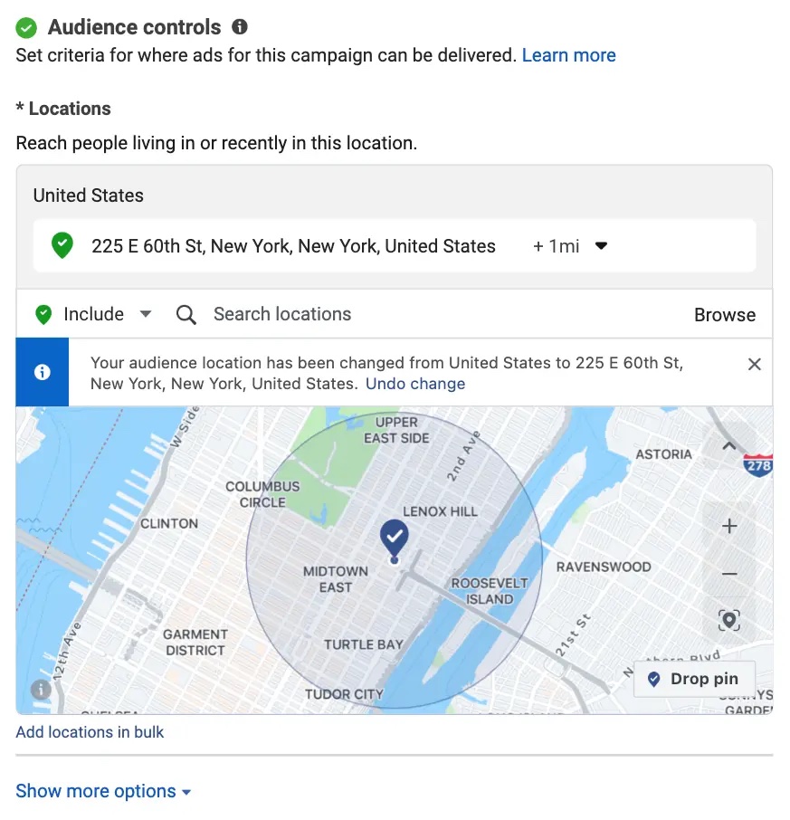 Including a geofencing parameter under the "Audience controls" window