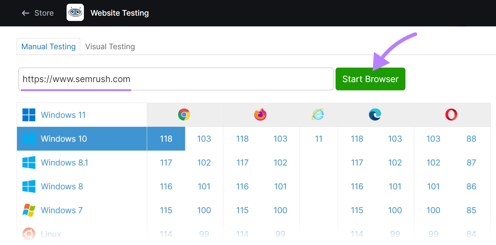 “Manual Testing” tab in Website Testing tool, with "www.sr03.amztoolservice.com" domain and "Windows 10" selected