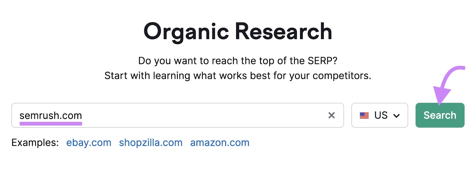 "www.sr03.amztoolservice.com" entered into Organic Rankings search bar
